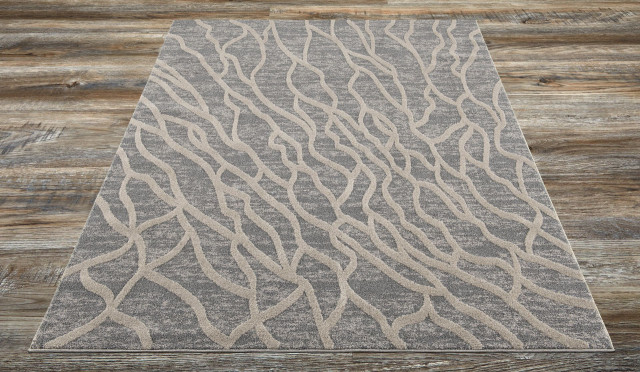 Amazon Az10441 Gray 7.10x10.6 Area Rug - Contemporary - Area Rugs - by ...