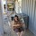 iola_vanklink