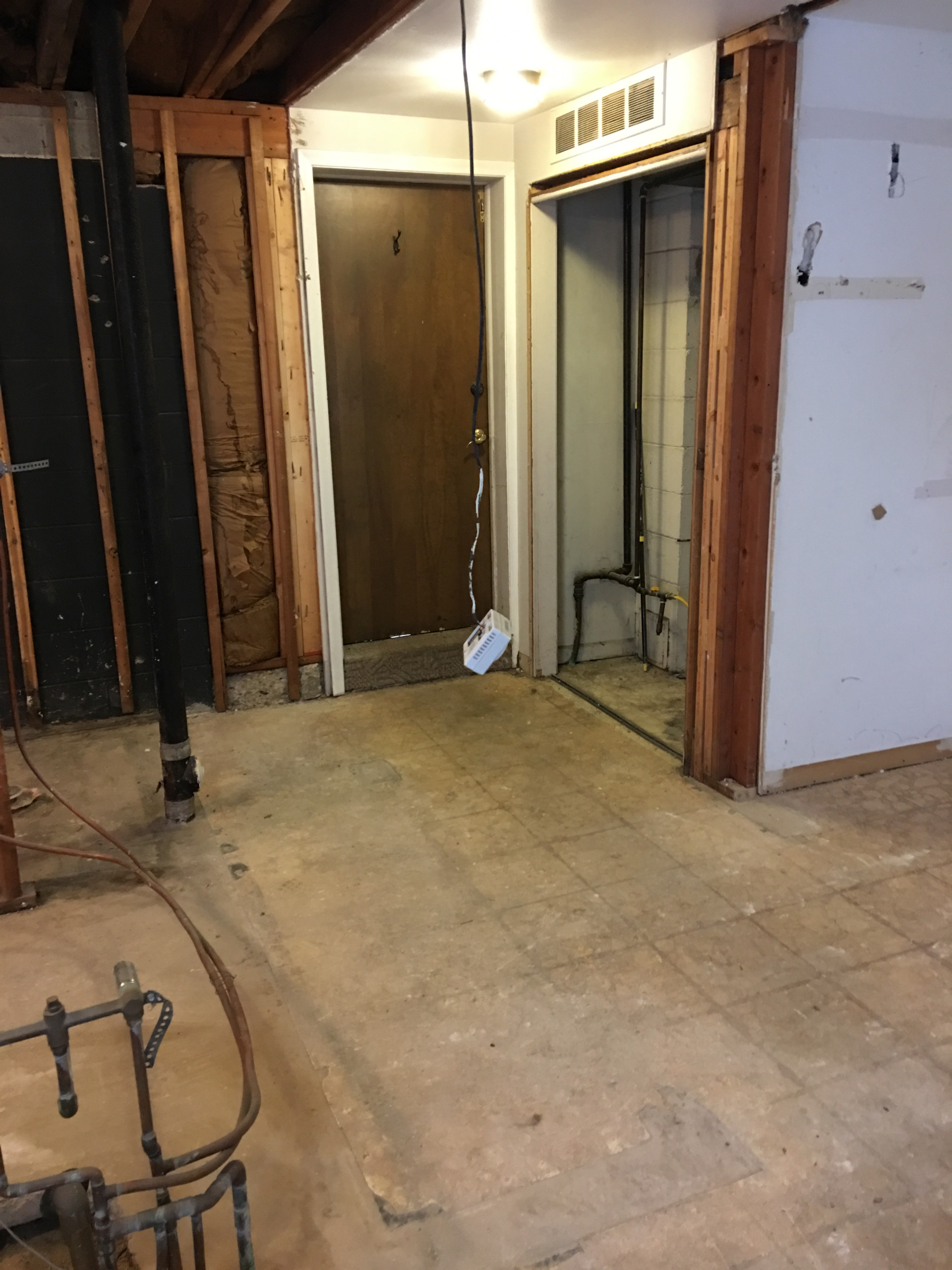 Custom bathroom and back room workout/pet room