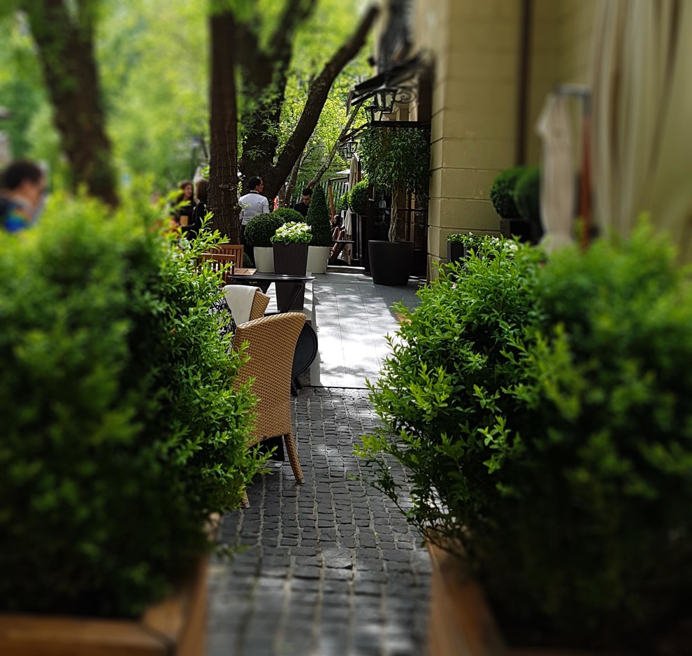 ресторан Аист на Малой Бронной