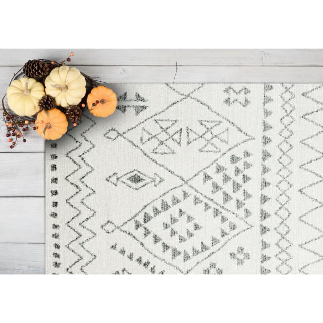 Dynamic Rugs Sherpa 490066242 Rug Southwestern Area Rugs by Rug