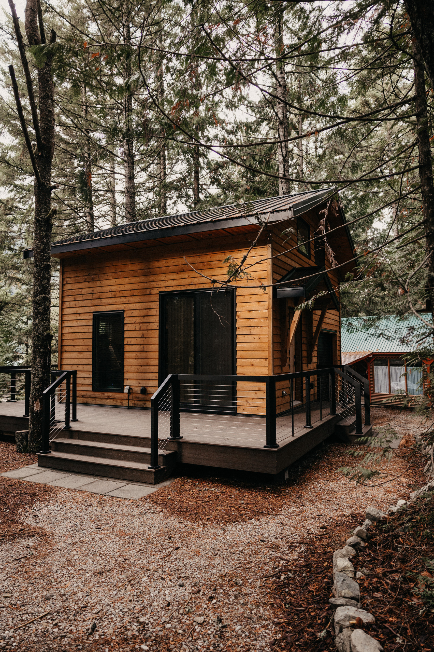 Cabin in the woods
