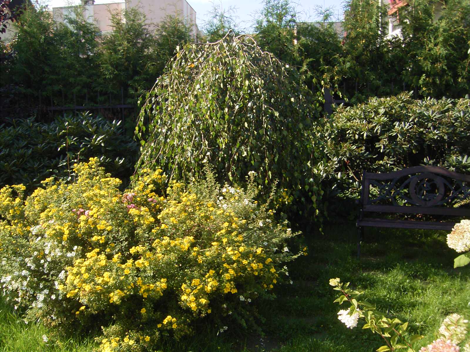 Дизайн участка в городской среде : таун-хауз в Коломягах