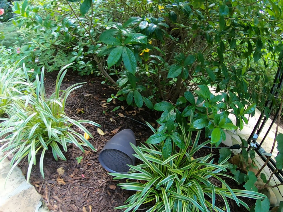 Outdoor Audio (Sonance SLS System & Garden Series)