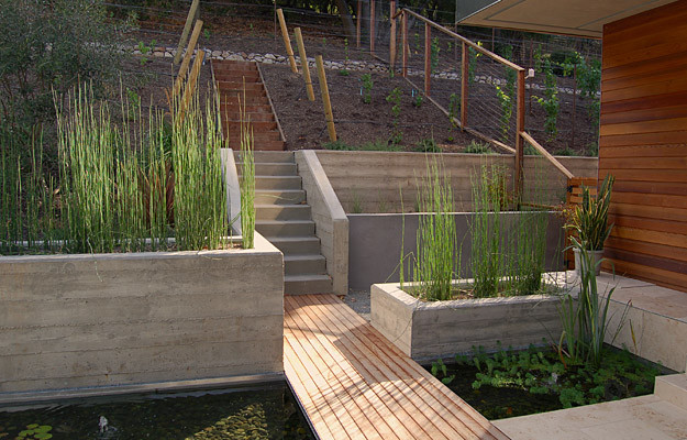 This is an example of a contemporary garden in San Francisco.