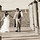 adina_ness