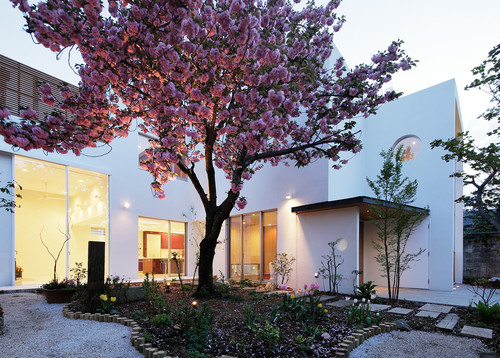 満開の桜を楽しめる幸せな家19選 Houzz ハウズ