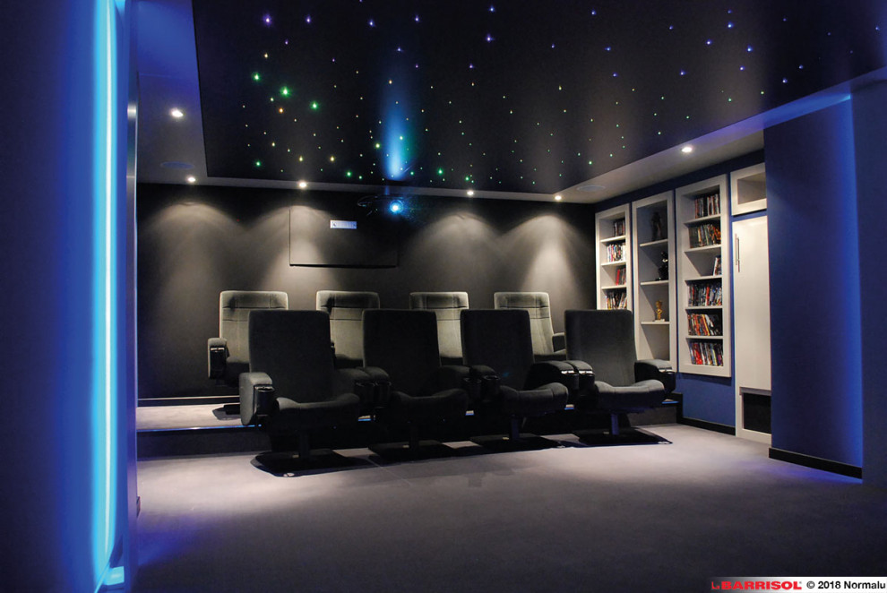 Cette image montre une salle de cinéma minimaliste.