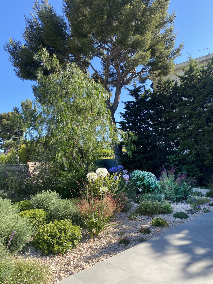 This is an example of a contemporary front yard garden in Marseille with with privacy feature.