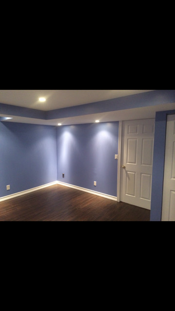 Basement Renovation