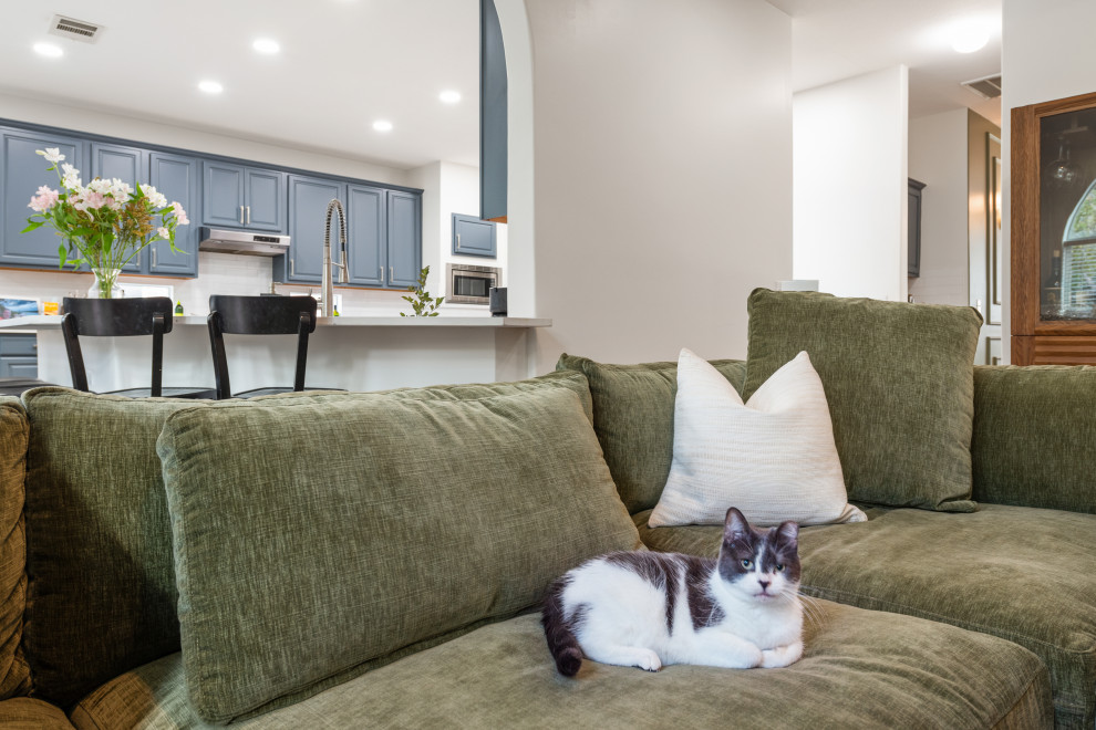 Cedar Park Eclectic-Cozy Living