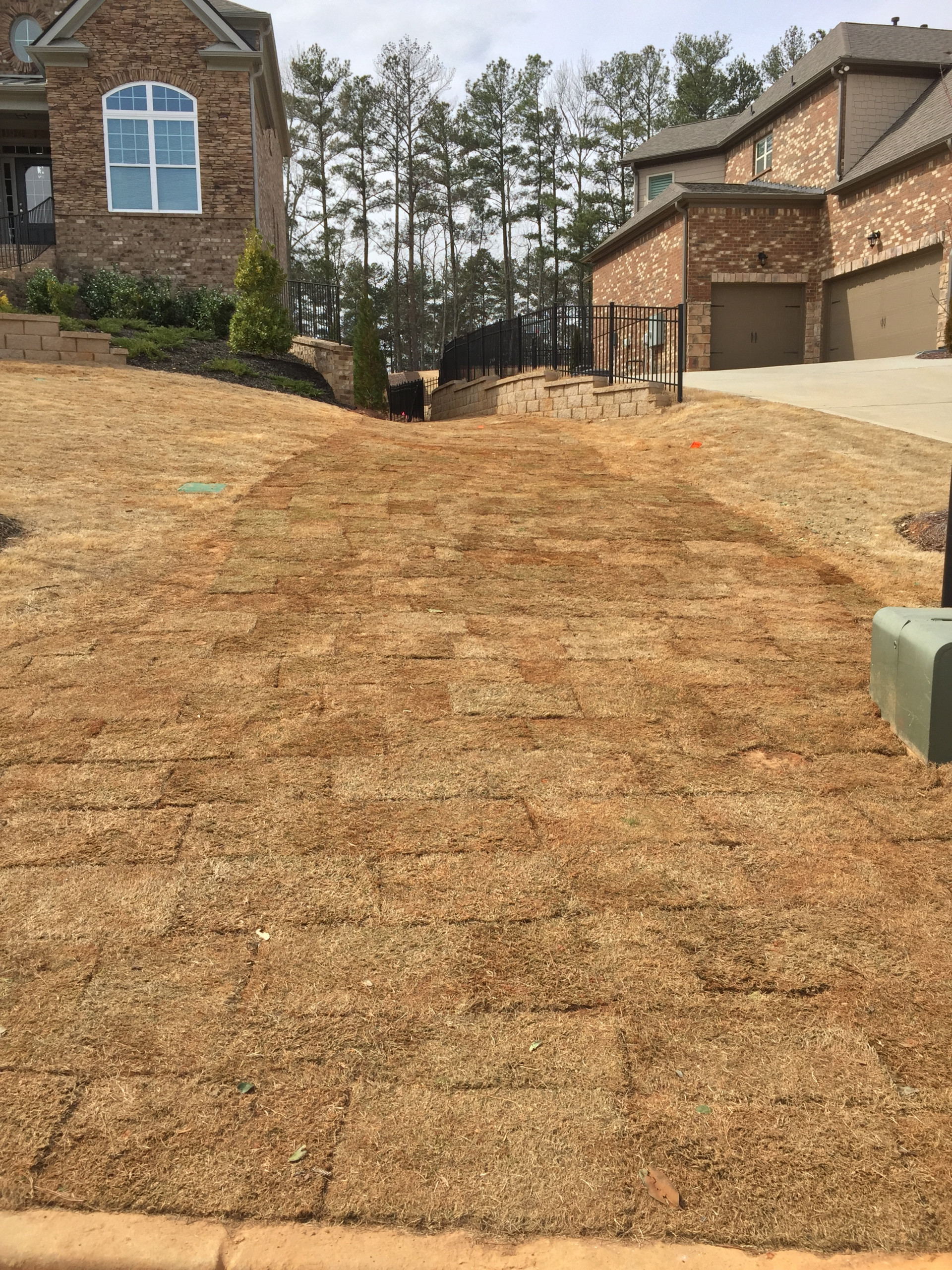 Alpharetta Yard Enhancements