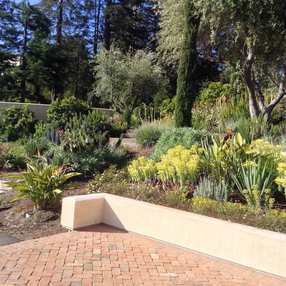 This is an example of a mid-sized mediterranean backyard full sun xeriscape in San Francisco with brick pavers.