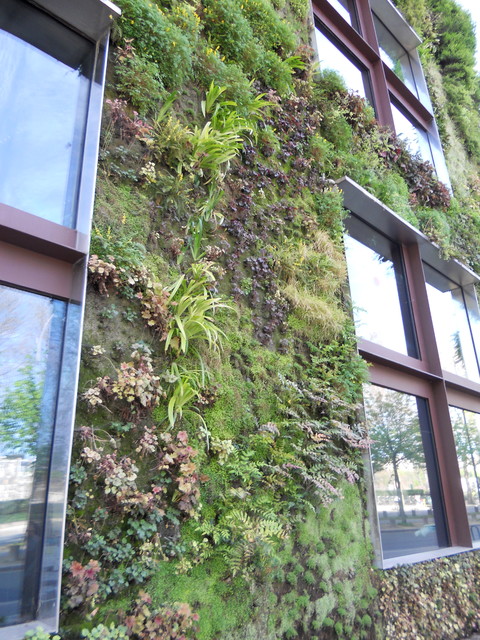 Ideen Und Tipps Einen Vertikalen Garten Anzulegen