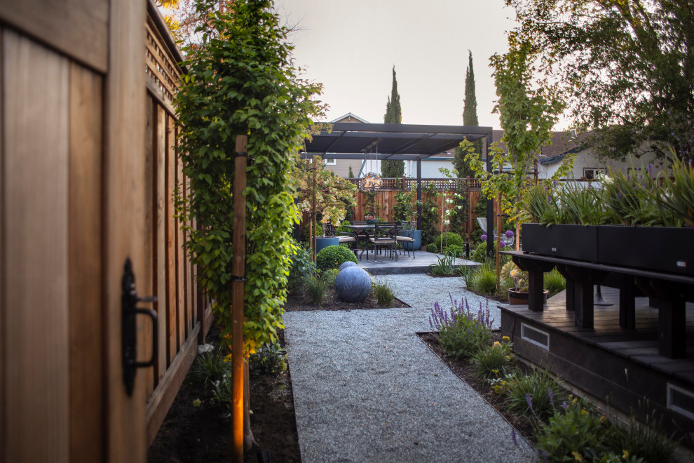 Идея дизайна: маленький участок и сад на заднем дворе в современном стиле с дорожками, полуденной тенью и покрытием из гравия для на участке и в саду