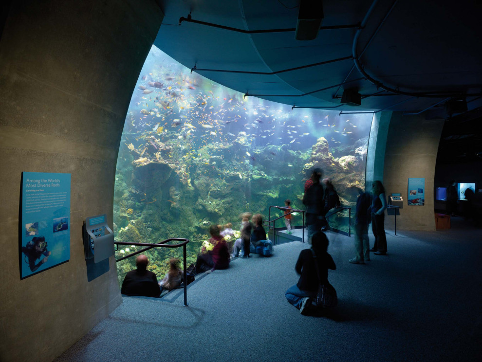 Calofornia Academy of Sciences, San Francisco, CA (with RPBW)