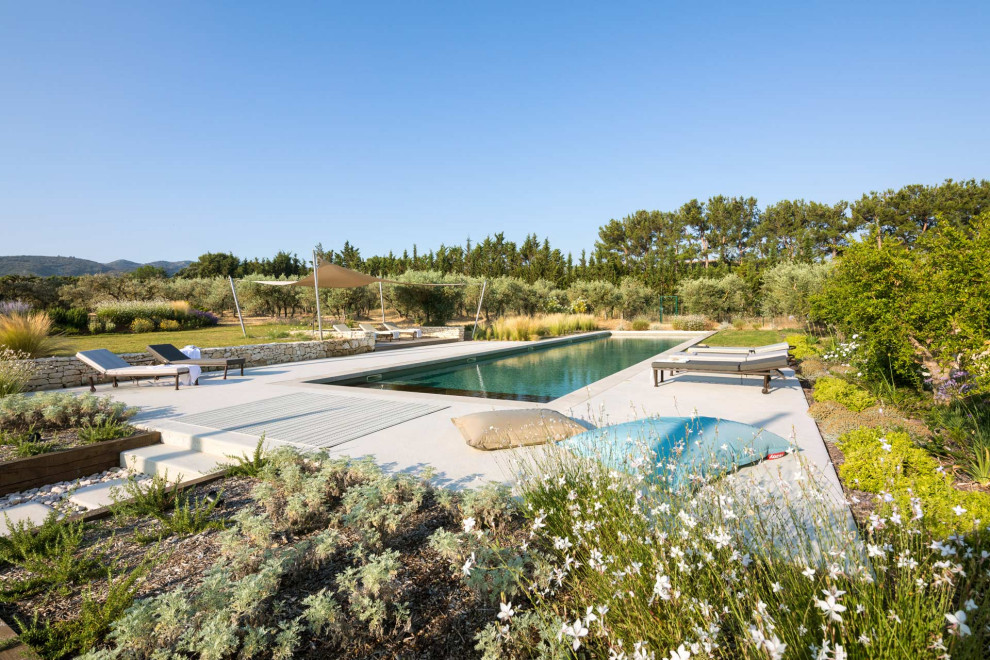 Cette image montre un grand piscine avec aménagement paysager arrière méditerranéen rectangle avec une dalle de béton.