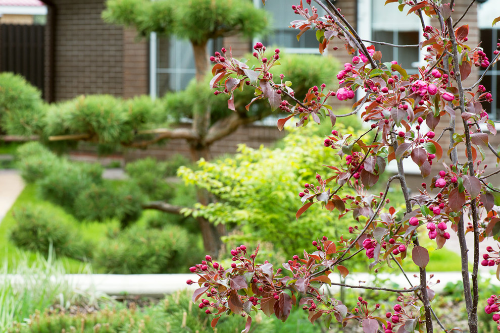 Первая весна в саду "Красный октябрь"