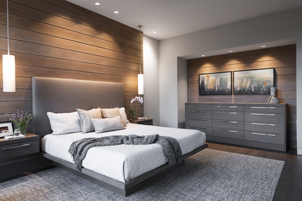 Inspiration for a contemporary master bedroom in Other.