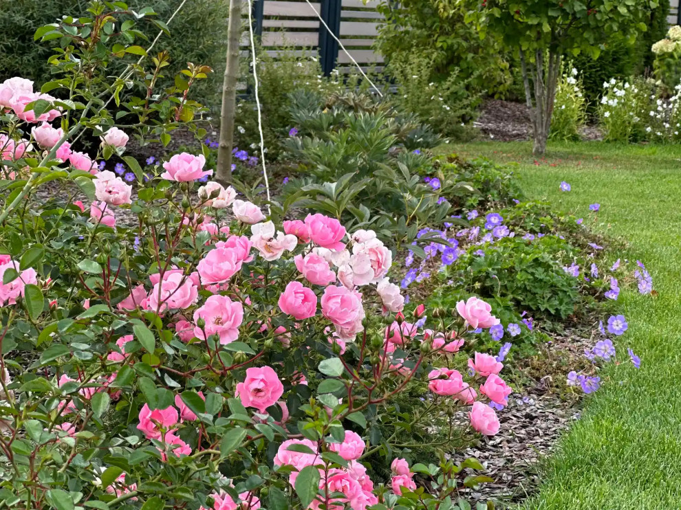 «НА ЗАПОВЕДНЫХ БЕРЕГАХ»