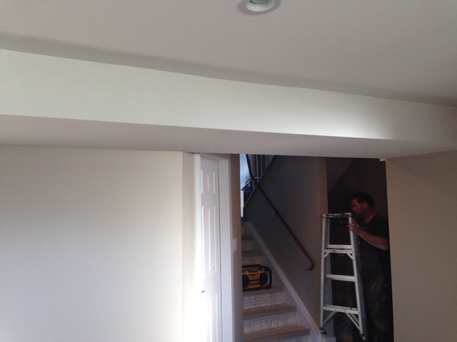 Basement Development 