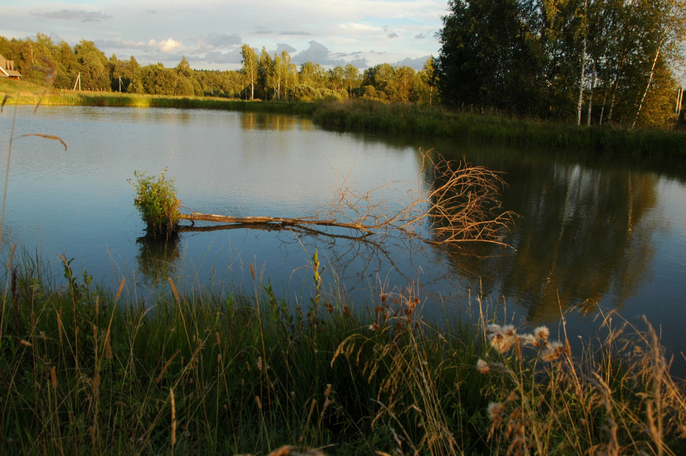 Пермакультурная личная усадьба.