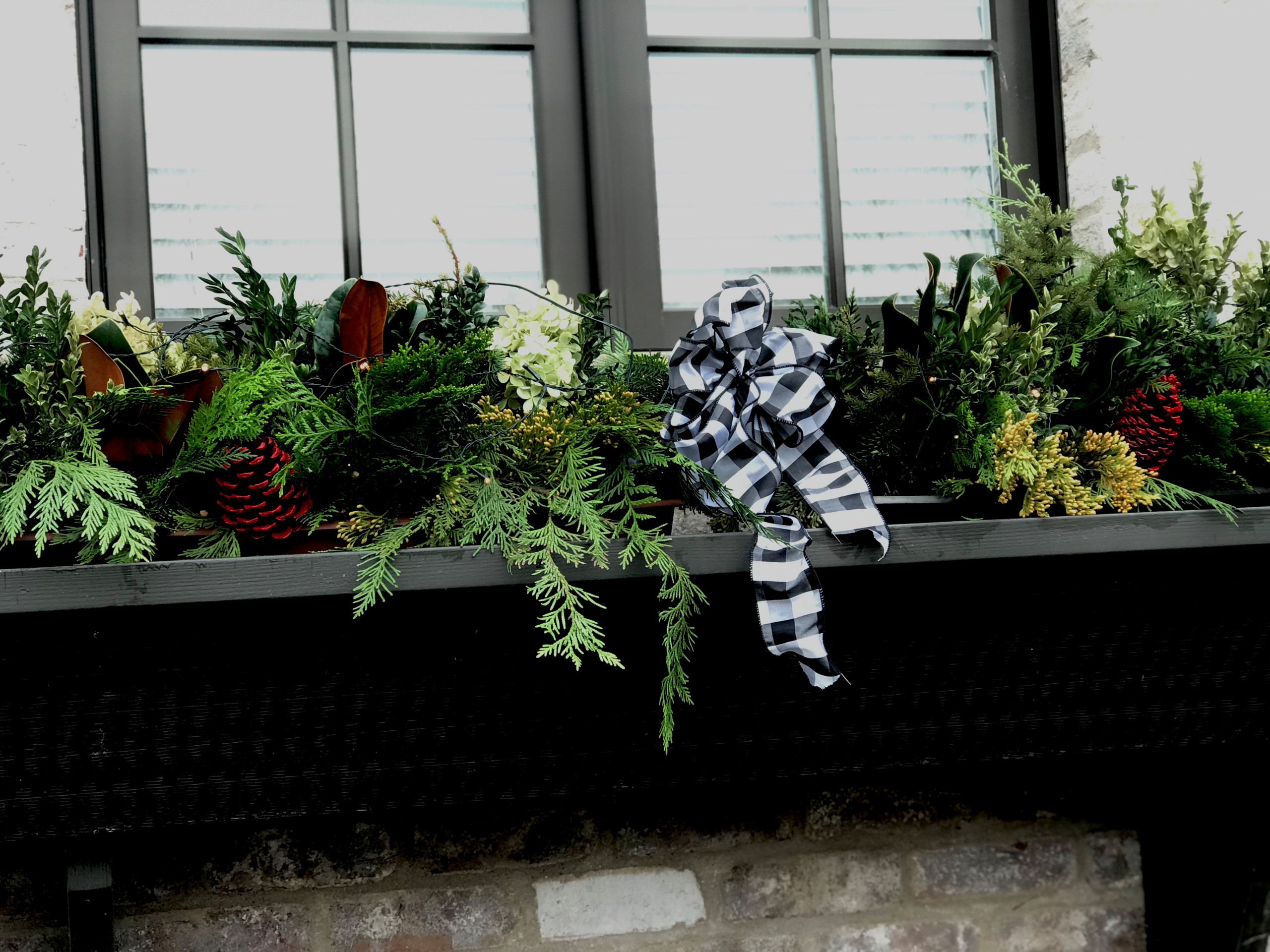 Winter containers and Holiday Decorations