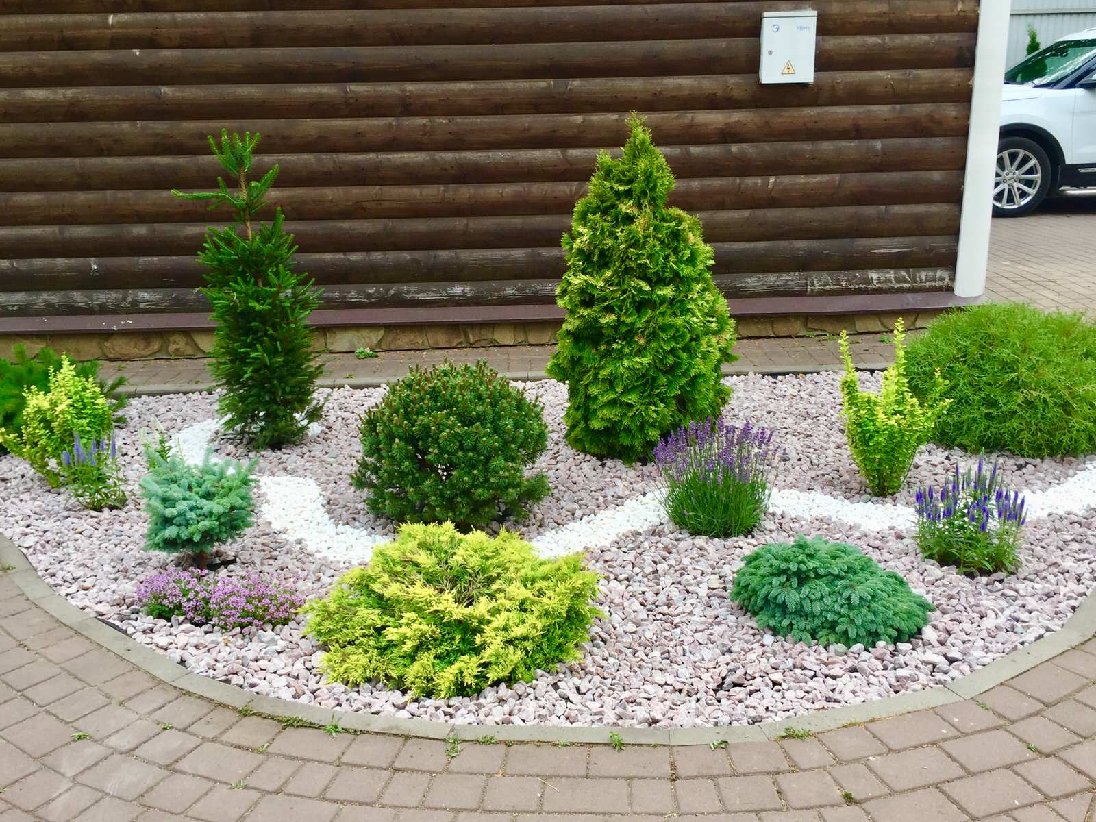 Проект Тригуляй