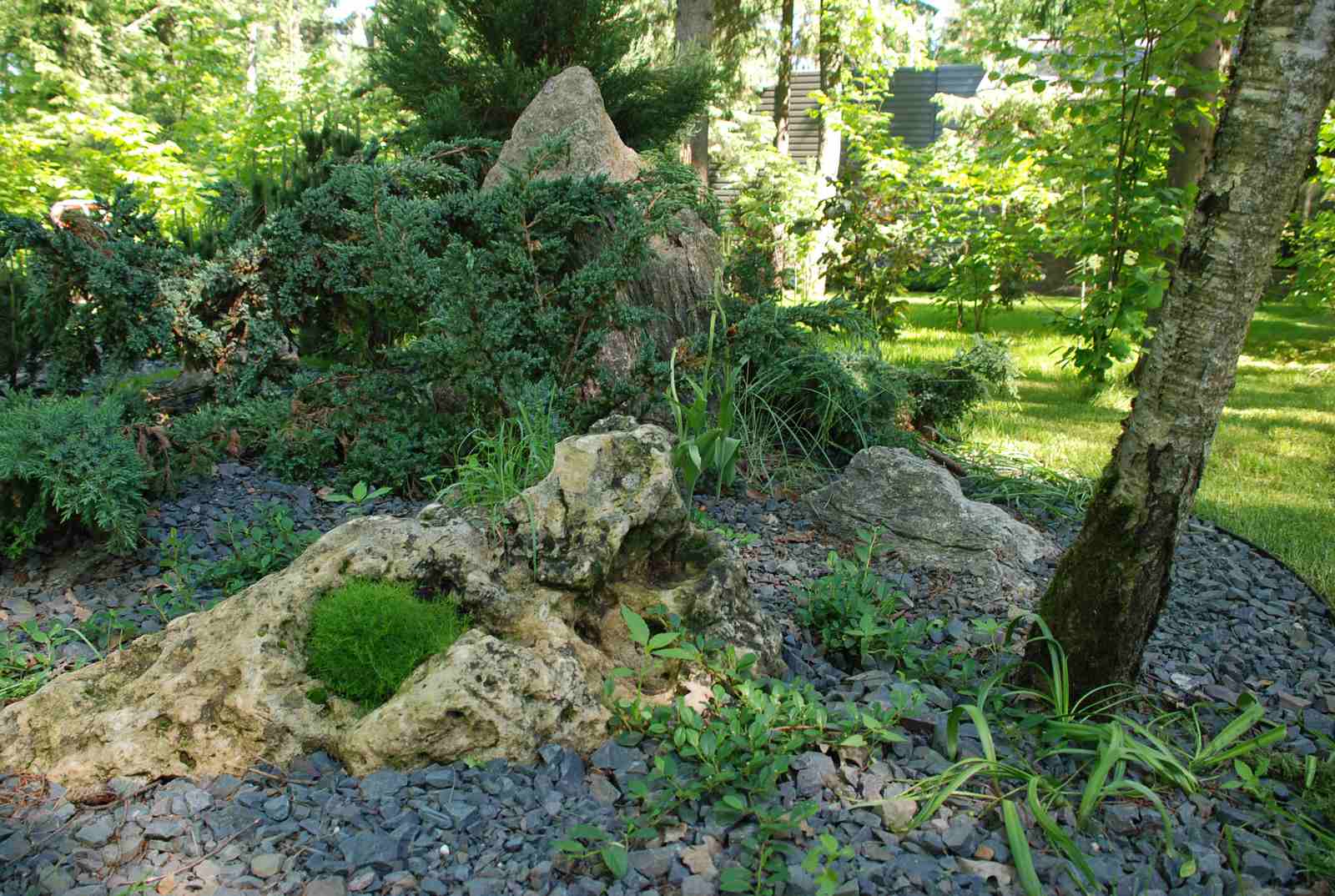 Успенское шоссе РИИТА