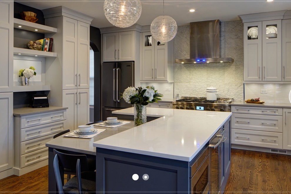 Kitchen - transitional kitchen idea in Chicago