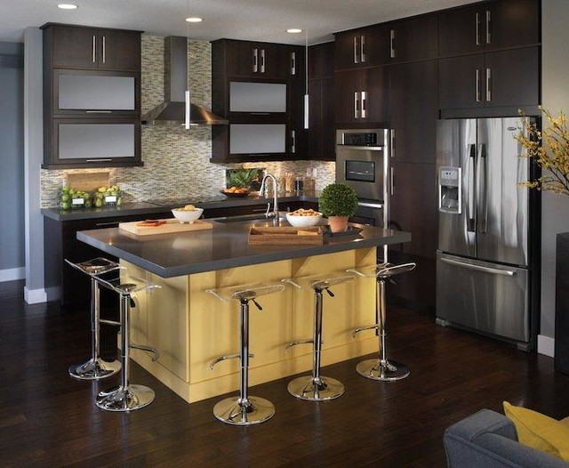 Kitchen Jpg Kitchen Denver By The Kitchen Showcase Inc