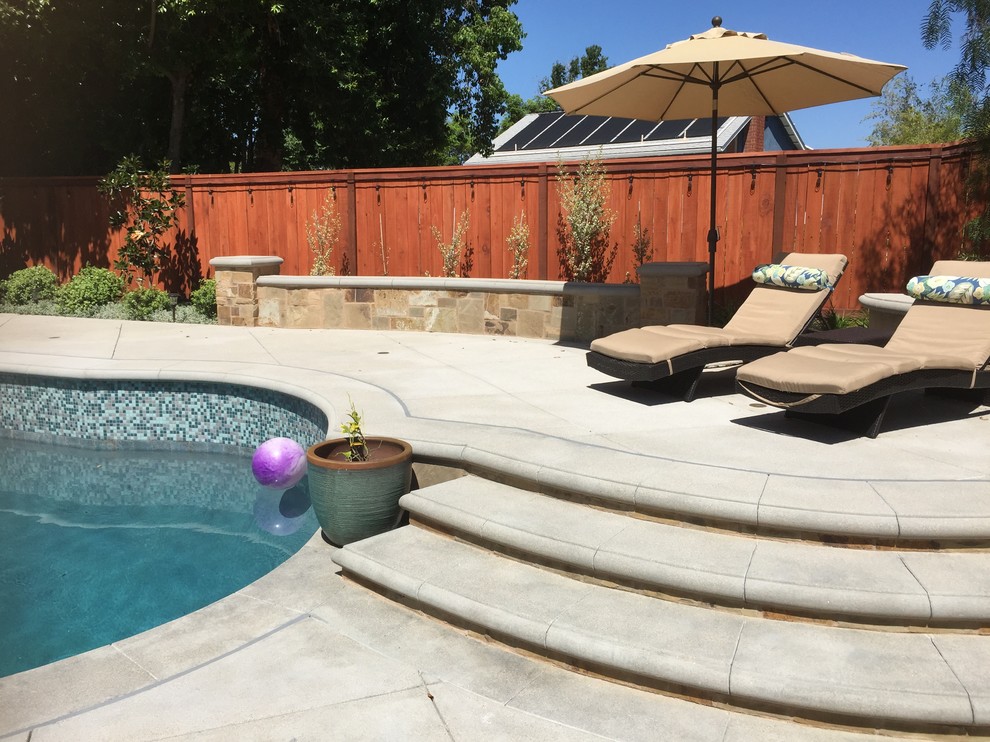 This is an example of a mid-sized contemporary backyard custom-shaped natural pool in Orange County with a hot tub and natural stone pavers.