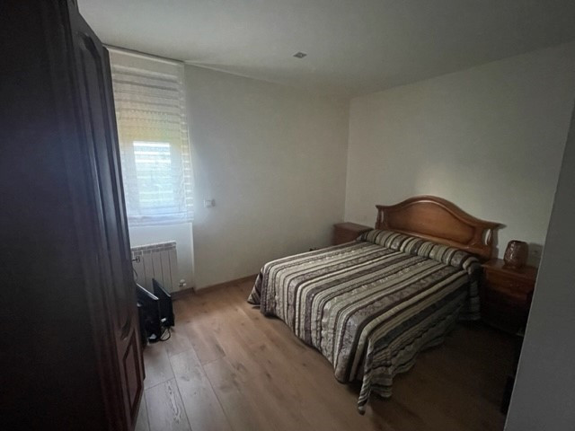 Diseño interior “Junglelow”: inspiración natural y armonía en cada espacio