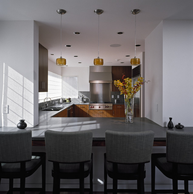 Sheri Olson modern-kitchen