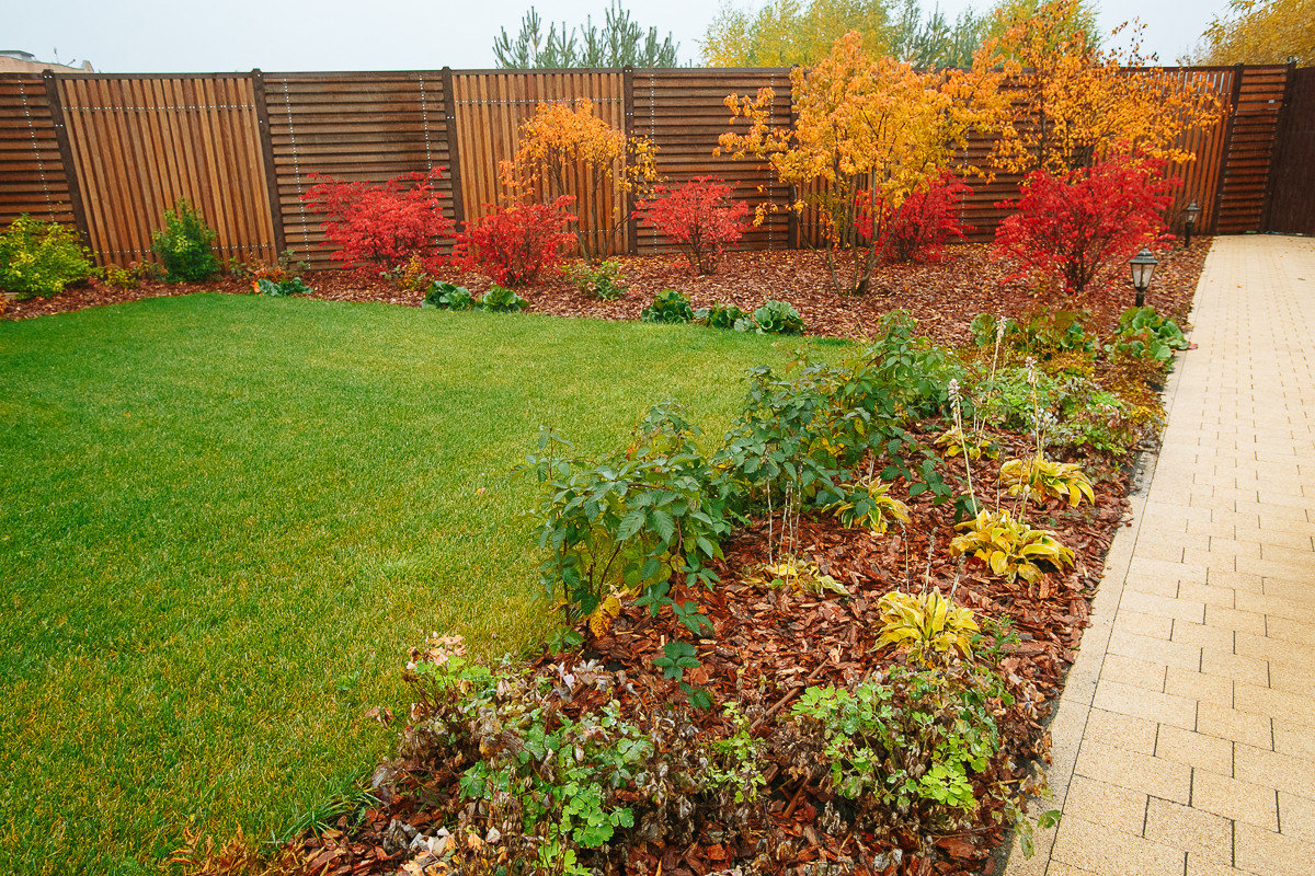 Сад с румянцем