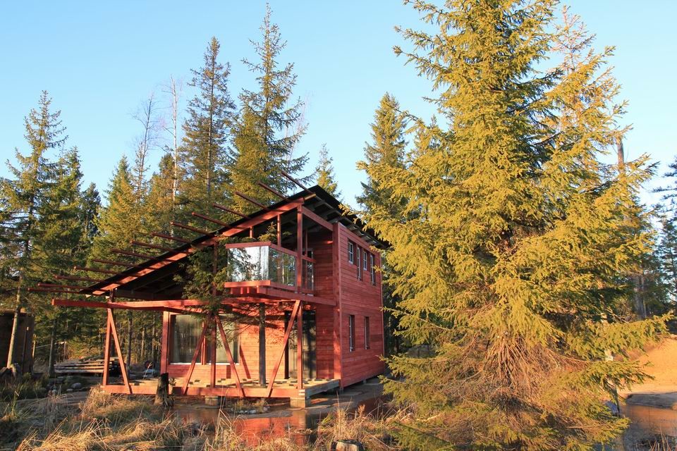 Дом с ёлкой 45 кв.м.