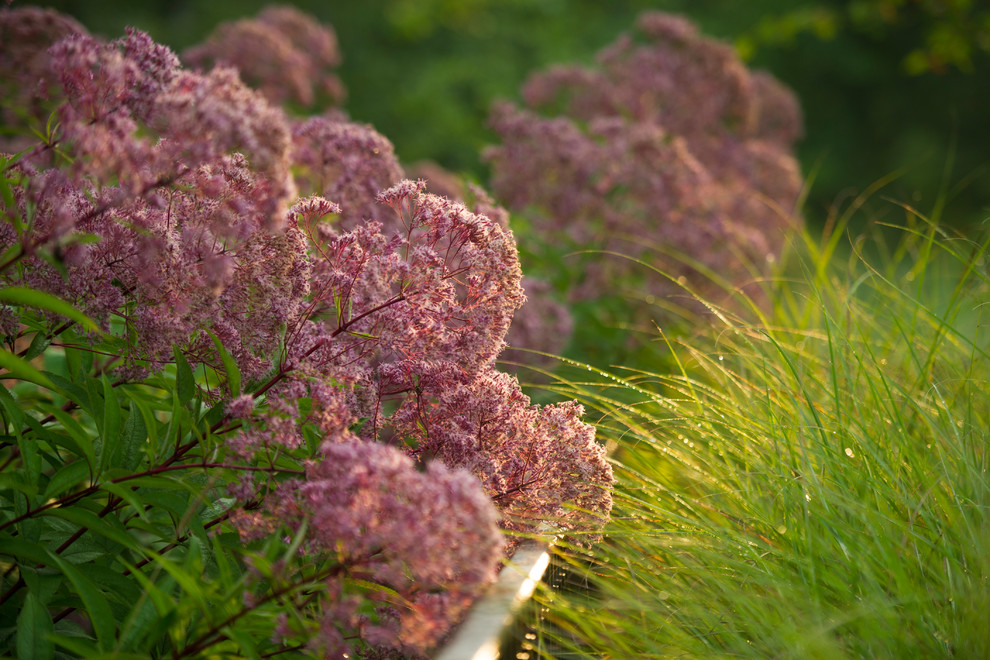 This is an example of a traditional landscaping in New York.