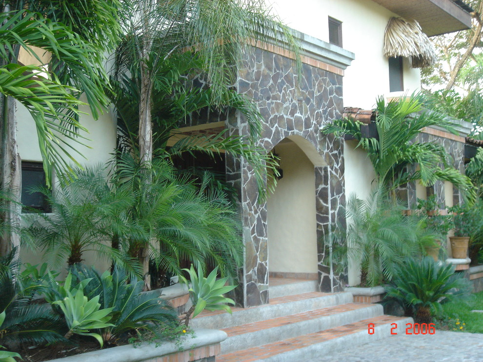 Photo of a tropical entryway in Other.