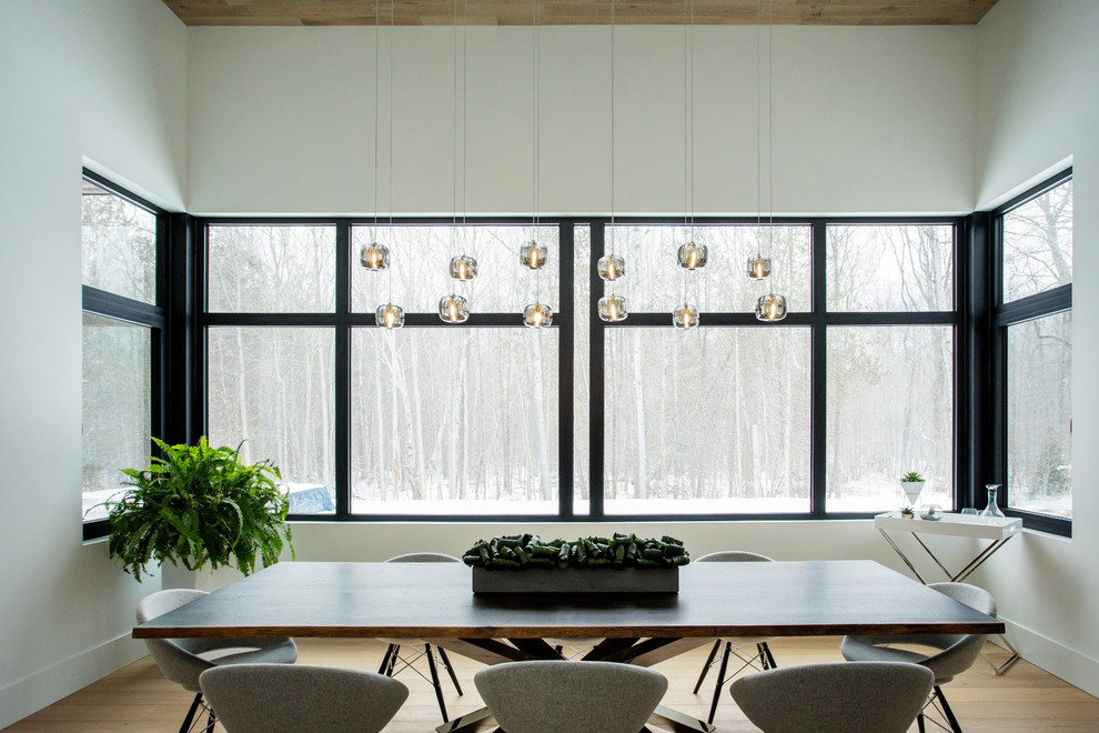 Inspiration for a modern dining room remodel in Toronto