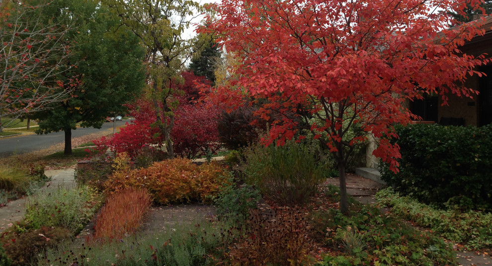 Design ideas for a transitional front yard landscaping in Denver for fall.