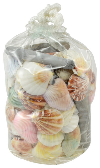 Seashells and Driftwood Decorator Pack