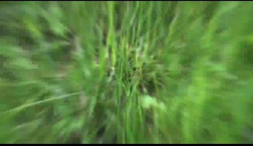 RPReplay_Final1658435013.mp4