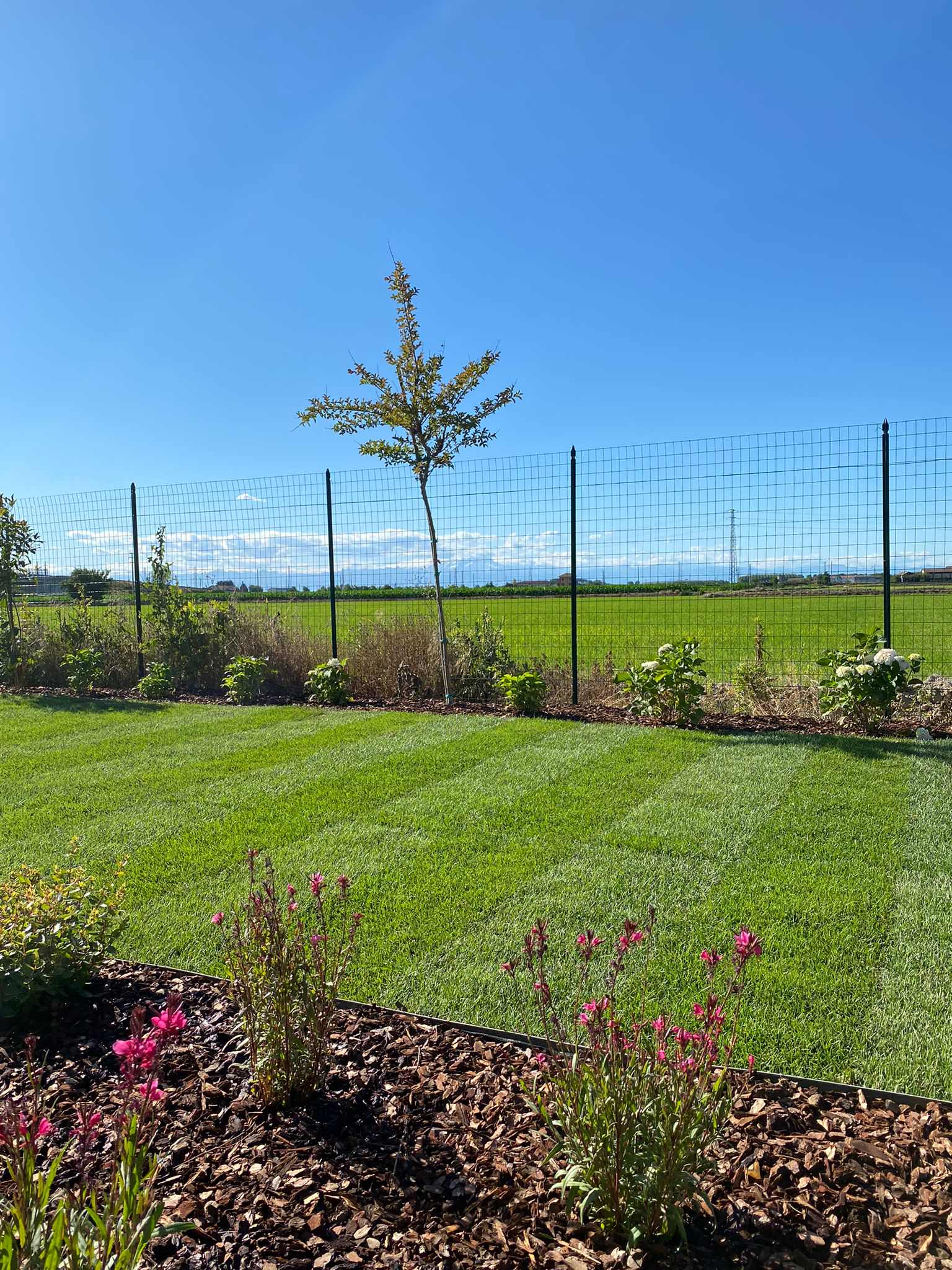 Realizzazione Giardino per villa moderna