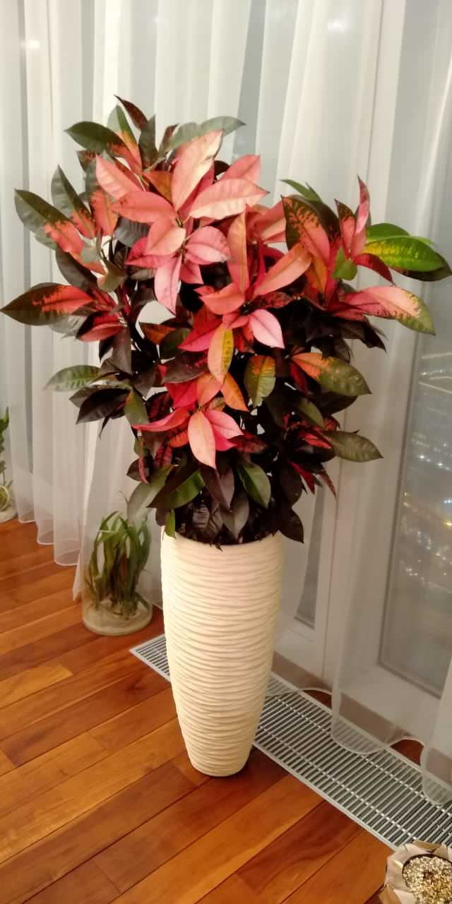 Аппартаменты в Москва Сити