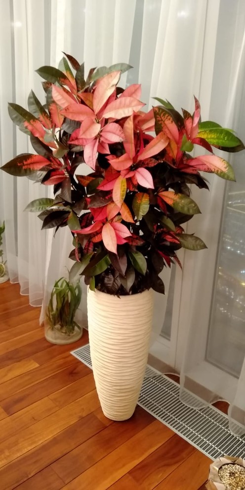 Аппартаменты в Москва Сити