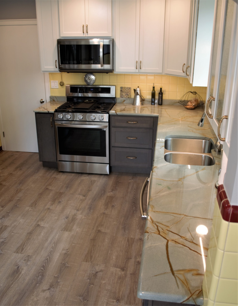 Transitional kitchen photo in Chicago