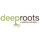 Deep Roots Landscaping LLC
