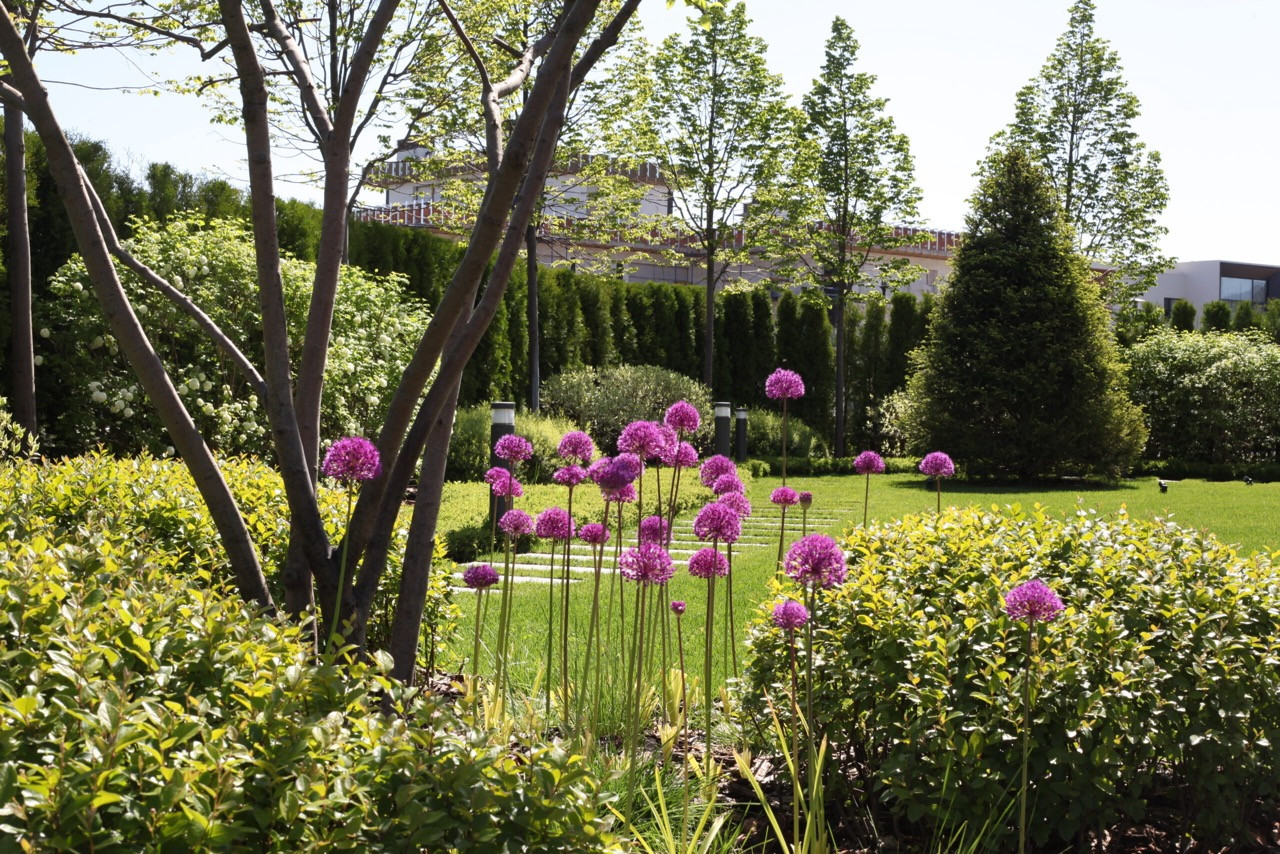 Тихая роскошь