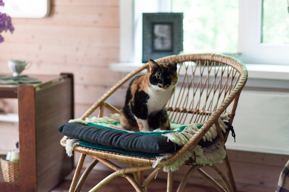Летний домик в деревне с семейной историей.
