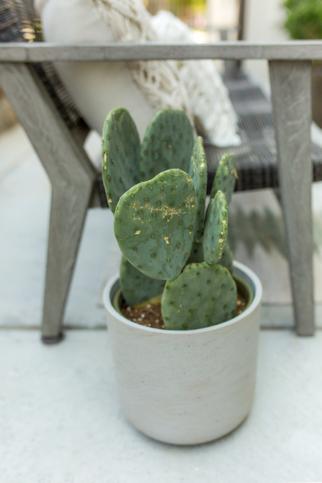 Probert Patio | Lakewood, CO | Rustic Mediterrean Charm